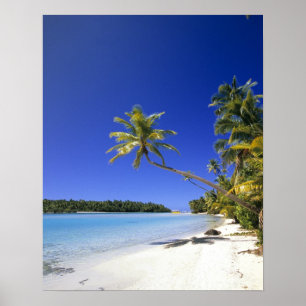Affiche Plage bordée de palmiers Cook Islands