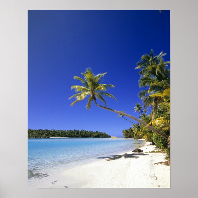 Affiche Plage bordée de palmiers Cook Islands (Devant)