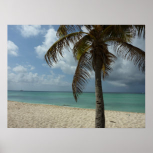 Affiche Plage d'Aruba I Belle Scène Naturelle
