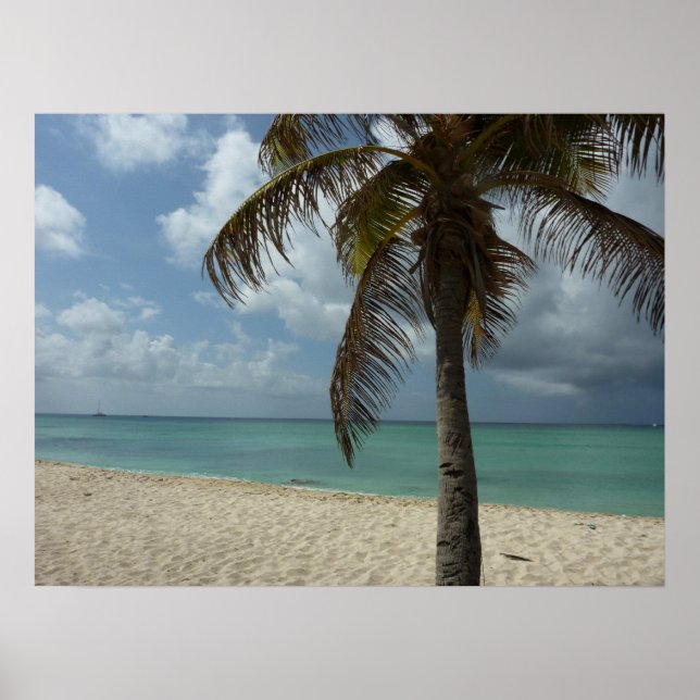Affiche Plage d'Aruba I Belle Scène Naturelle (Devant)