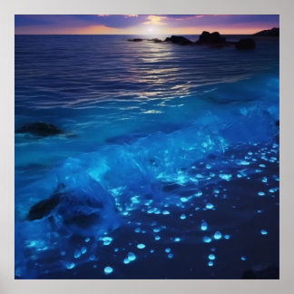 Affiche Plage de bioluminescence des eaux