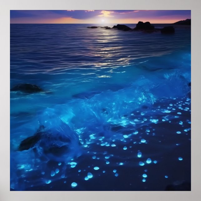Affiche Plage de bioluminescence des eaux (Devant)
