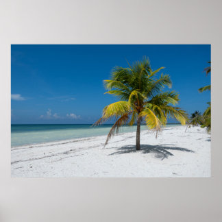 Affiche Plage de Cayo Blanco à Cuba