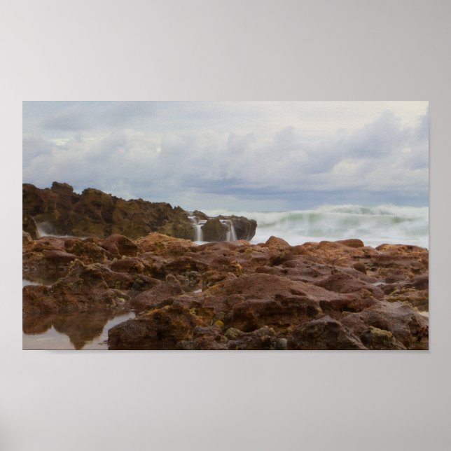 Affiche Plage de Coral Cove Park, Floride (Devant)