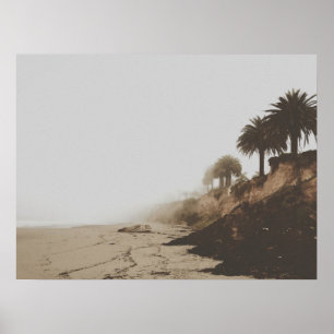 Affiche Plage de Foggy tonique Chaleureuse avec Palmiers