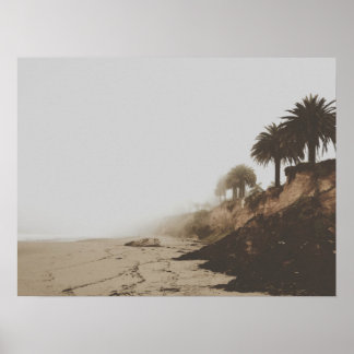 Affiche Plage de Foggy tonique Chaleureuse avec Palmiers