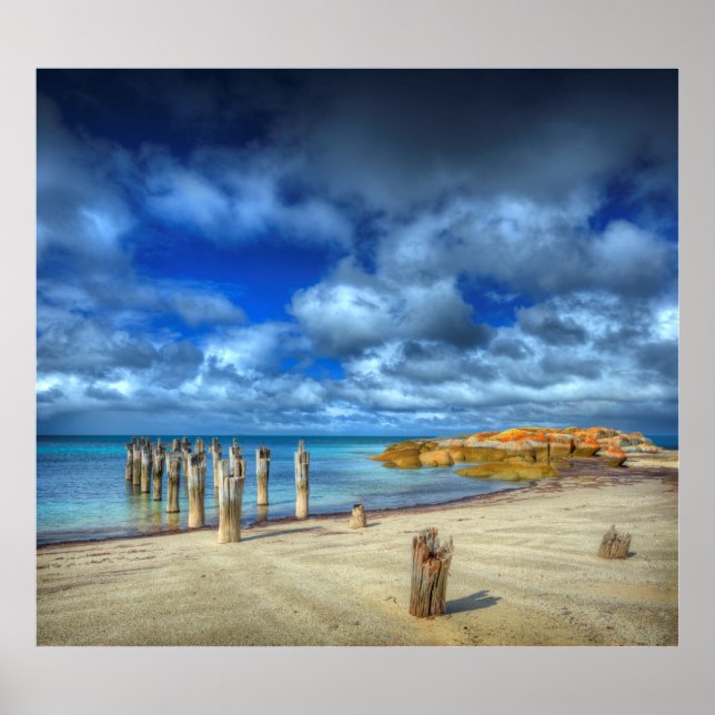 Affiche Plage de Lillies | Wybalena, Flinders Island (Devant)