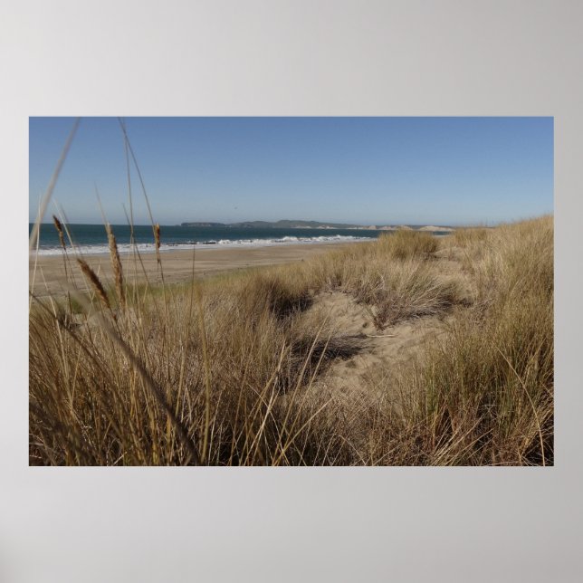 Affiche Plage de Limantour à Point Reyes II (Devant)