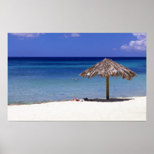 Affiche Plage de Malmok, Aruba, Antilles néerlandaises