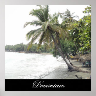 Affiche Plage de Palenque en République Dominicaine