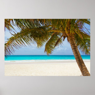 Affiche Plage de Palm