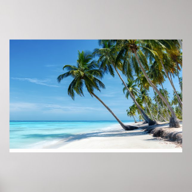 Affiche Plage de palmiers exotiques eau turquoise paradis  (Devant)