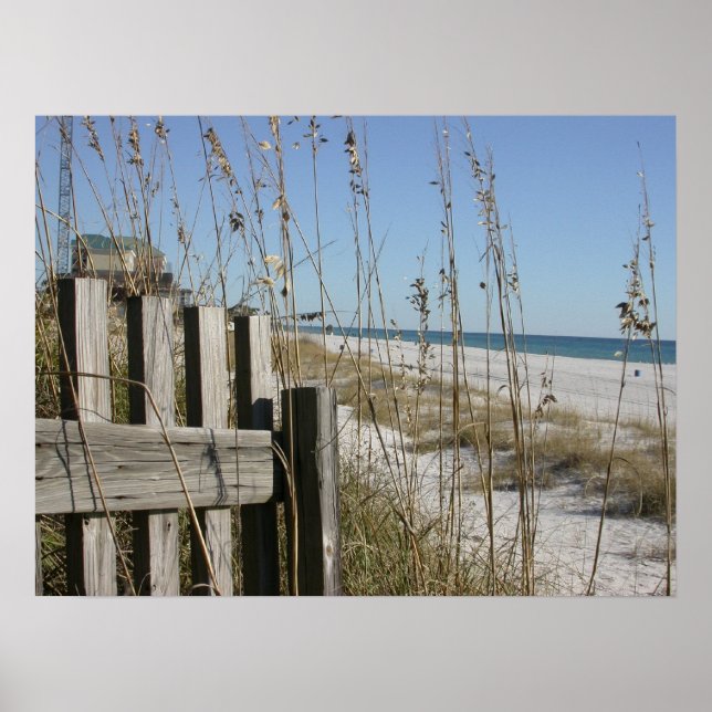 Affiche Plage de Panama City (Devant)
