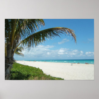 Affiche Plage de sable blanc avec palmier