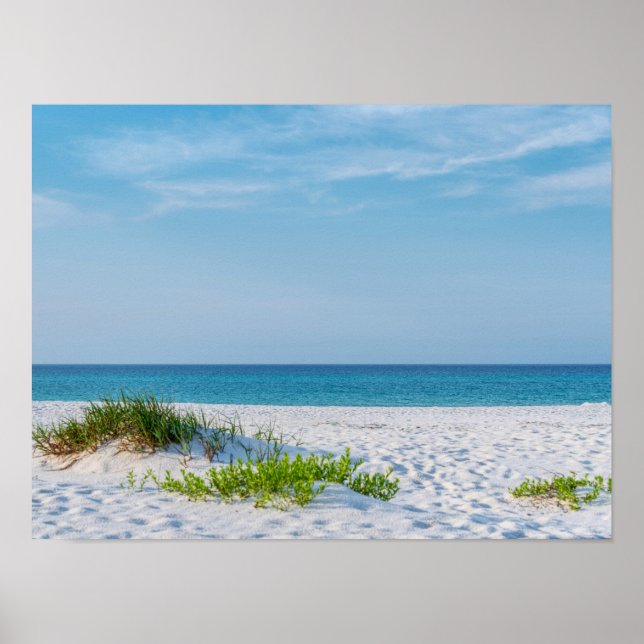 Affiche Plage de sable blanc Plage de Floride (Devant)