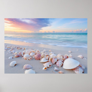 Affiche Plage de Seashell Nature paisible