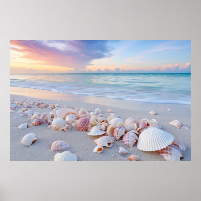 Affiche Plage de Seashell Nature paisible (Devant)