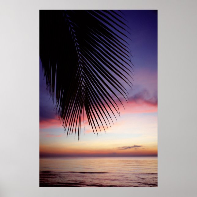 Affiche Plage de Sunset violet Tropical Palm Tree Silhouet (Devant)