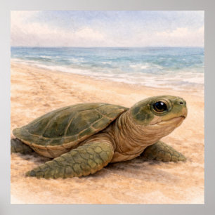 Affiche Plage de tortues marines 