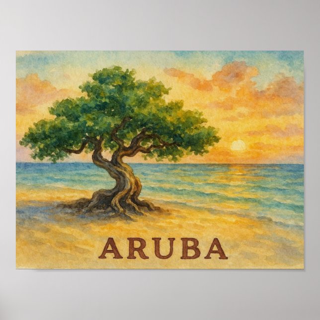 Affiche Plage Eagle Aruba Divi Tree Heure Dorée (Devant)