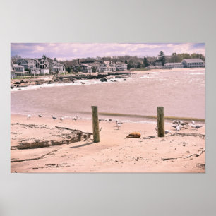 Affiche Plage le Connecticut vivant de Madison