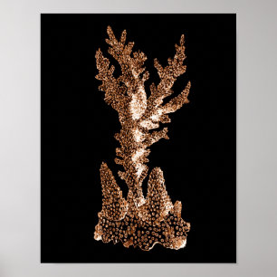 Affiche Plage marine côtière corail mer noir