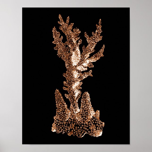 Affiche Plage marine côtière corail mer noir (Devant)