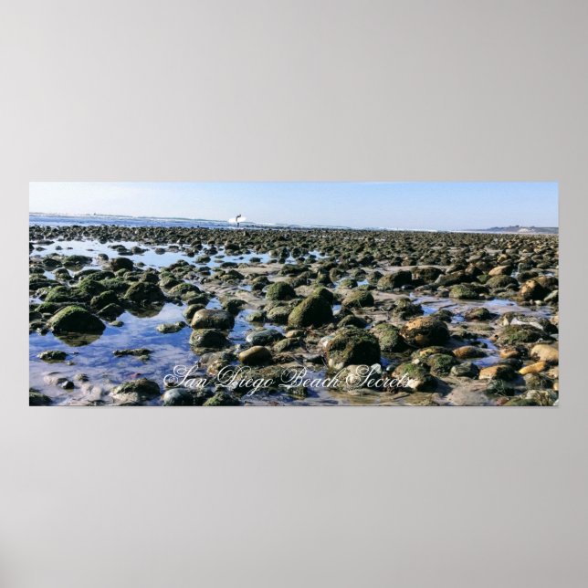 Affiche Plage Old Man's Beach - San Onofre State Beach (Devant)
