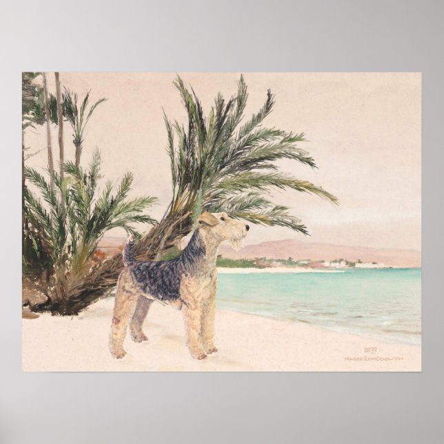 Affiche Plage Palmy (Devant)