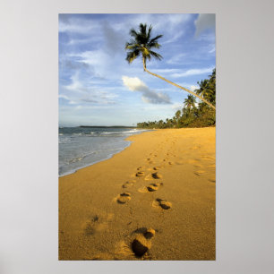 Affiche Plage Porto Rico