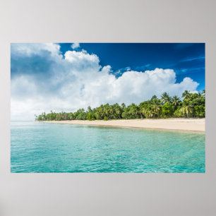 Affiche Plage tropicale bordée de palmiers