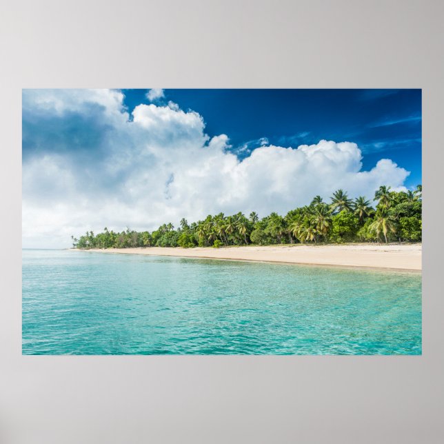 Affiche Plage tropicale bordée de palmiers (Devant)