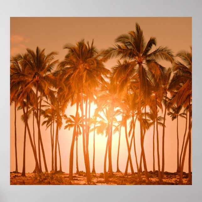 Affiche Plage tropicale : pittoresque vue naturelle (Devant)