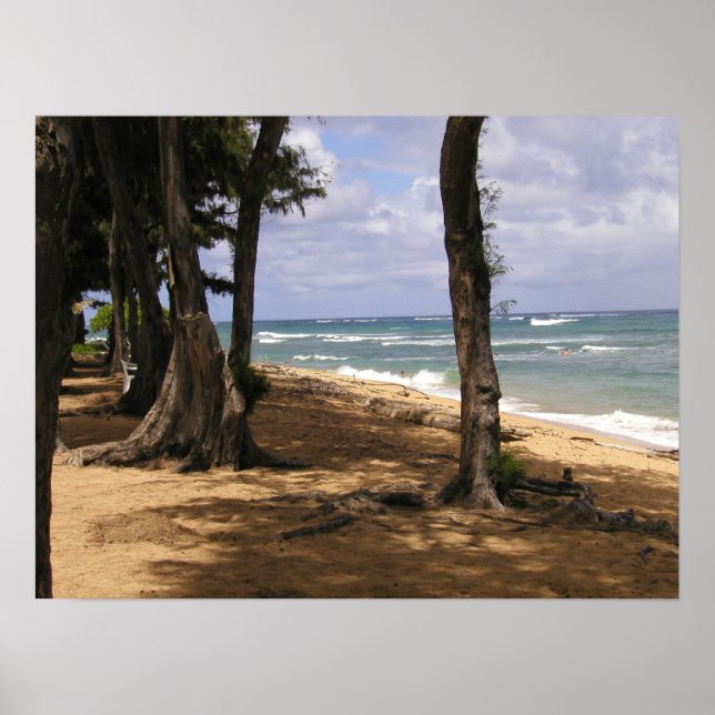 Affiche Plage, Wailua, Kauai (Devant)