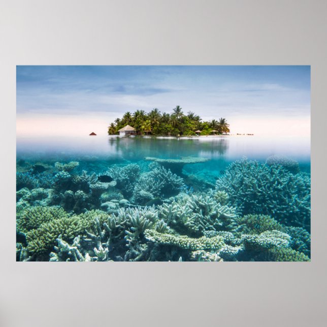 Affiche Plages tropicales | Ari Atoll Maldives (Devant)