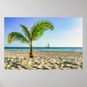 Affiche Plages tropicales   Bateau, Palmier, Aruba