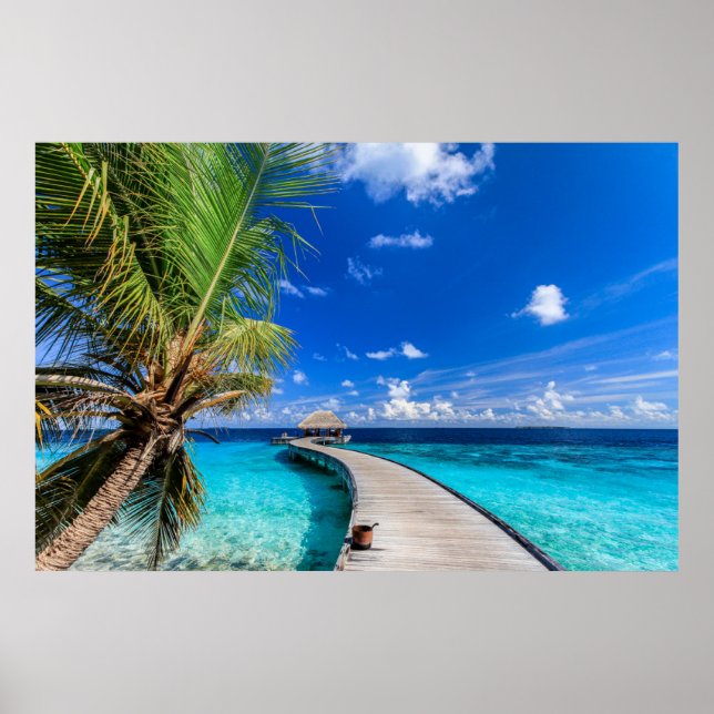 Affiche Plages tropicales | Dusit Thani Maldives (Devant)