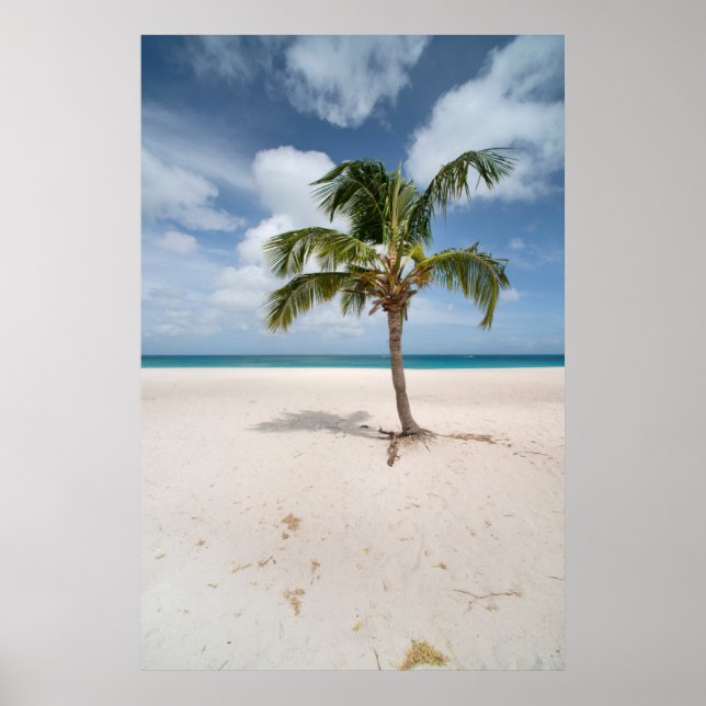 Affiche Plages tropicales | Eagle Beach, Aruba (Devant)