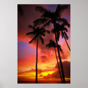 Affiche Plages tropicales Maui Hawaii