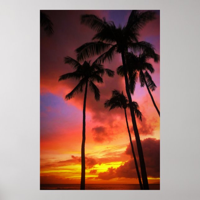 Affiche Plages tropicales | Maui Hawaii (Devant)