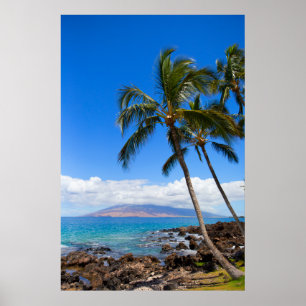 Affiche Plages tropicales Maui Hawaii