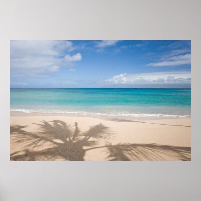 Affiche Plages tropicales | Maui, Hawaii (Devant)