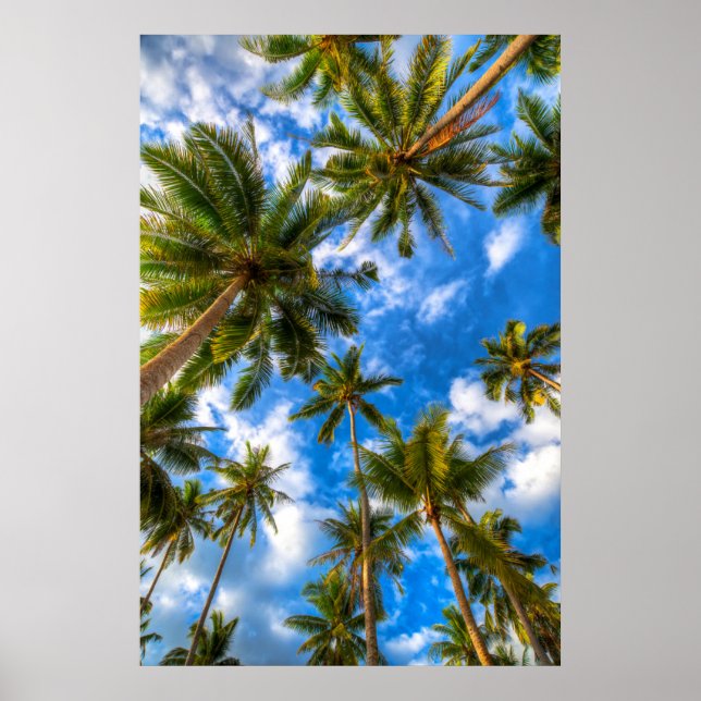 Affiche Plages tropicales | Palmiers sur le ciel bleu (Devant)
