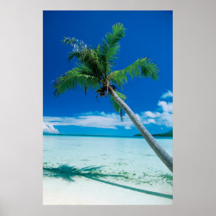 Affiche Plages tropicales Plage du motu Tofari, Bora Bor