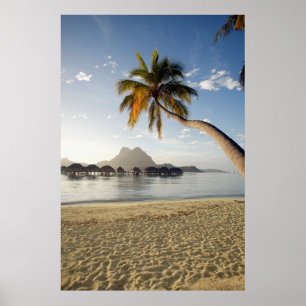 Affiche Plages tropicales   Plages, Bora Bora