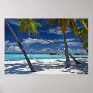 Affiche Plages tropicales   Sandy Beach, Maldives