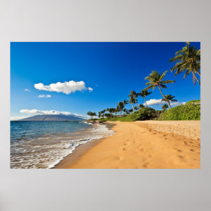 Affiche Plages tropicales   Wailea, Maui, Hawaii