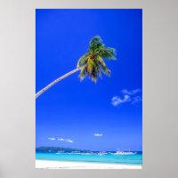 Plages tropicales | White Beach, Phillipines