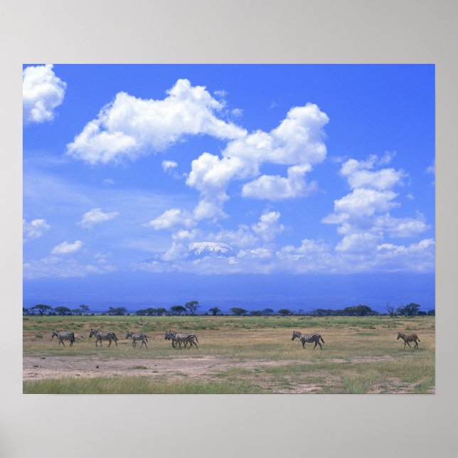 Affiche Plaine de Grassy (Devant)