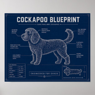 Affiche Plan de Cockapoo sur toile Cadeau pour amateur de